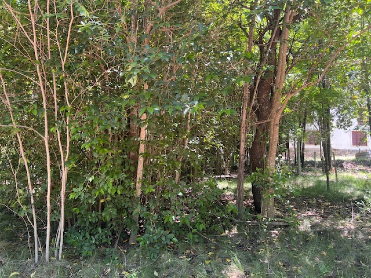 Lote en venta!!!! Villa general Belgrano, Cordoba